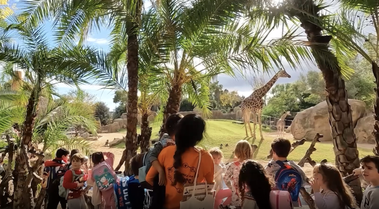Miércoles de finanzas y toma de decisiones